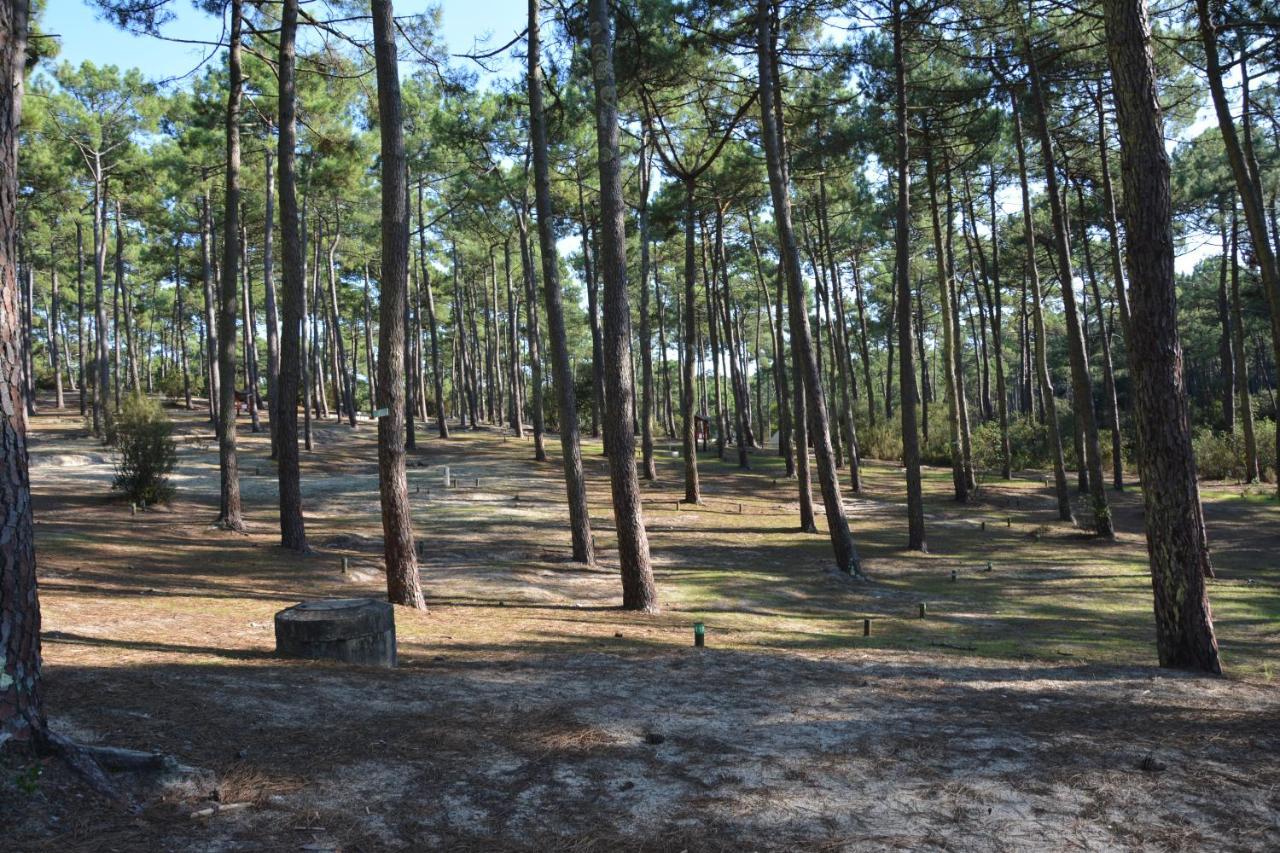 Wellness Sport Camping - La Dune Bleue Карканс Екстериор снимка